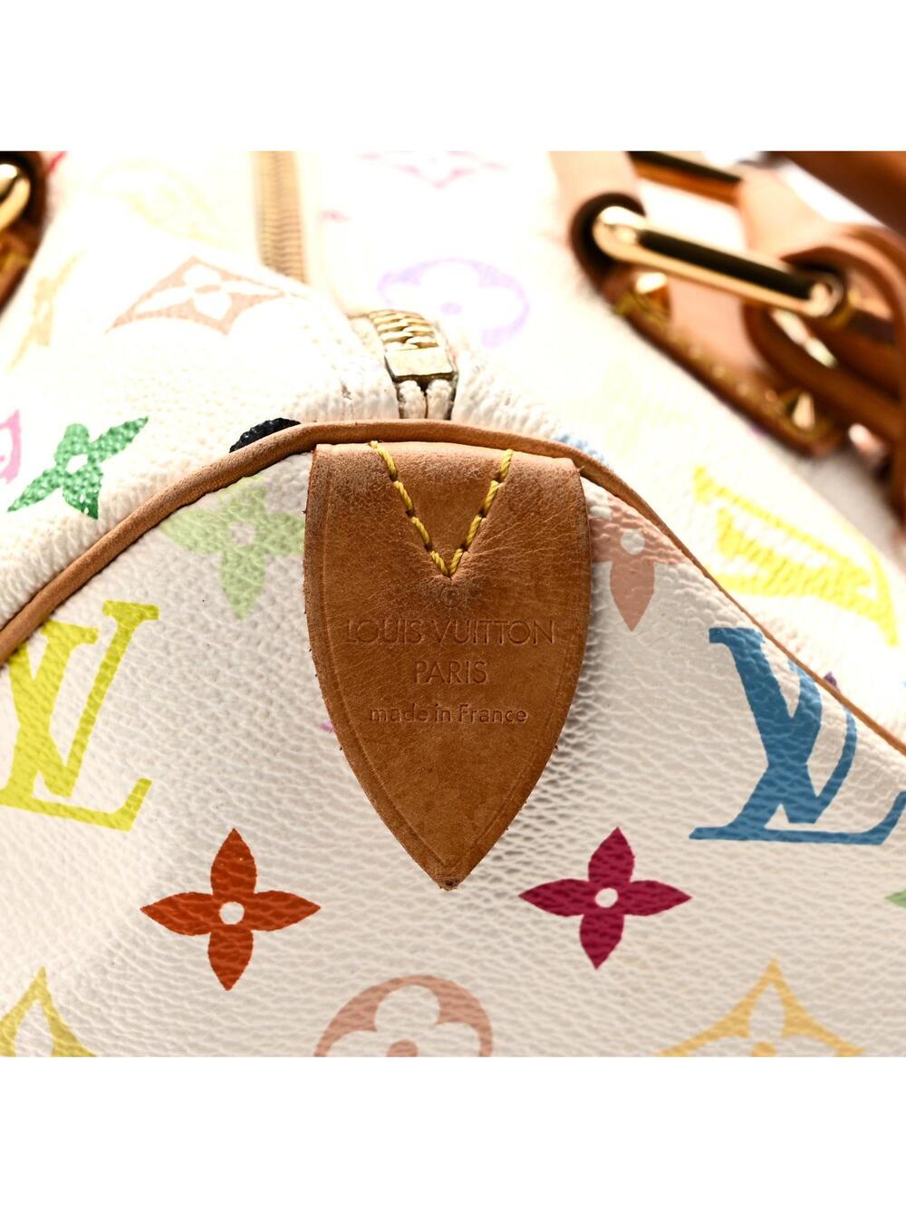 Louis Vuitton Multicolor Speedy 30 #304973L14B - Picture 6 of 11